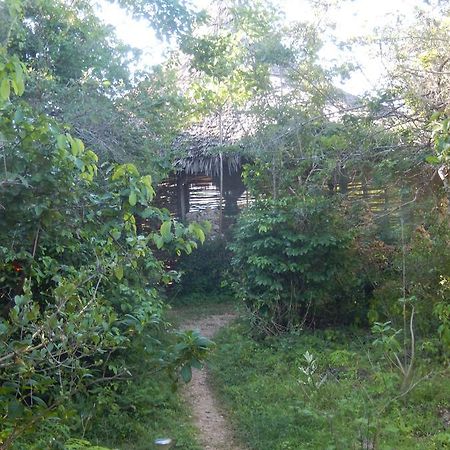Wasini Island Bandas מראה חיצוני תמונה