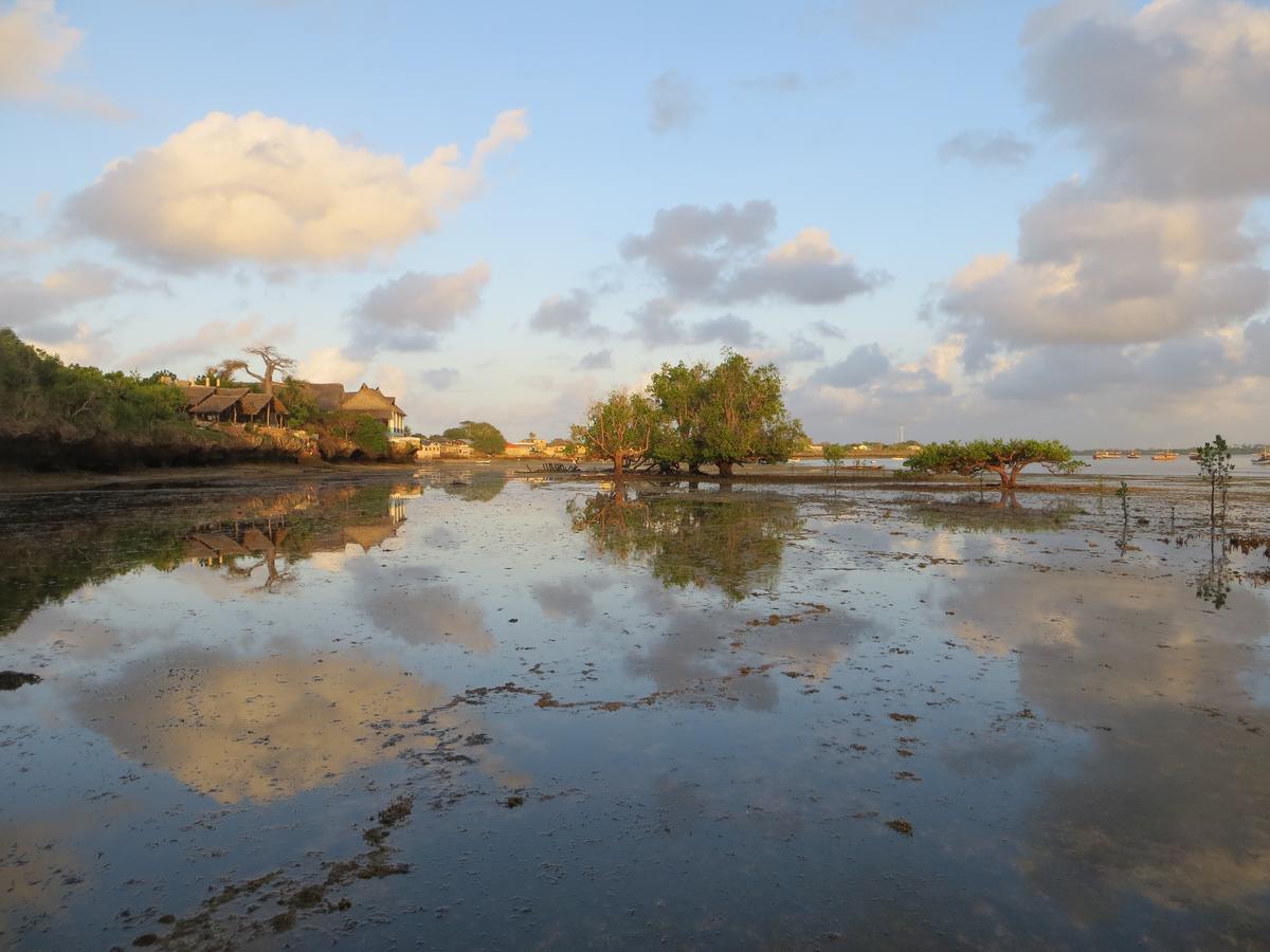 Wasini Island Bandas מראה חיצוני תמונה