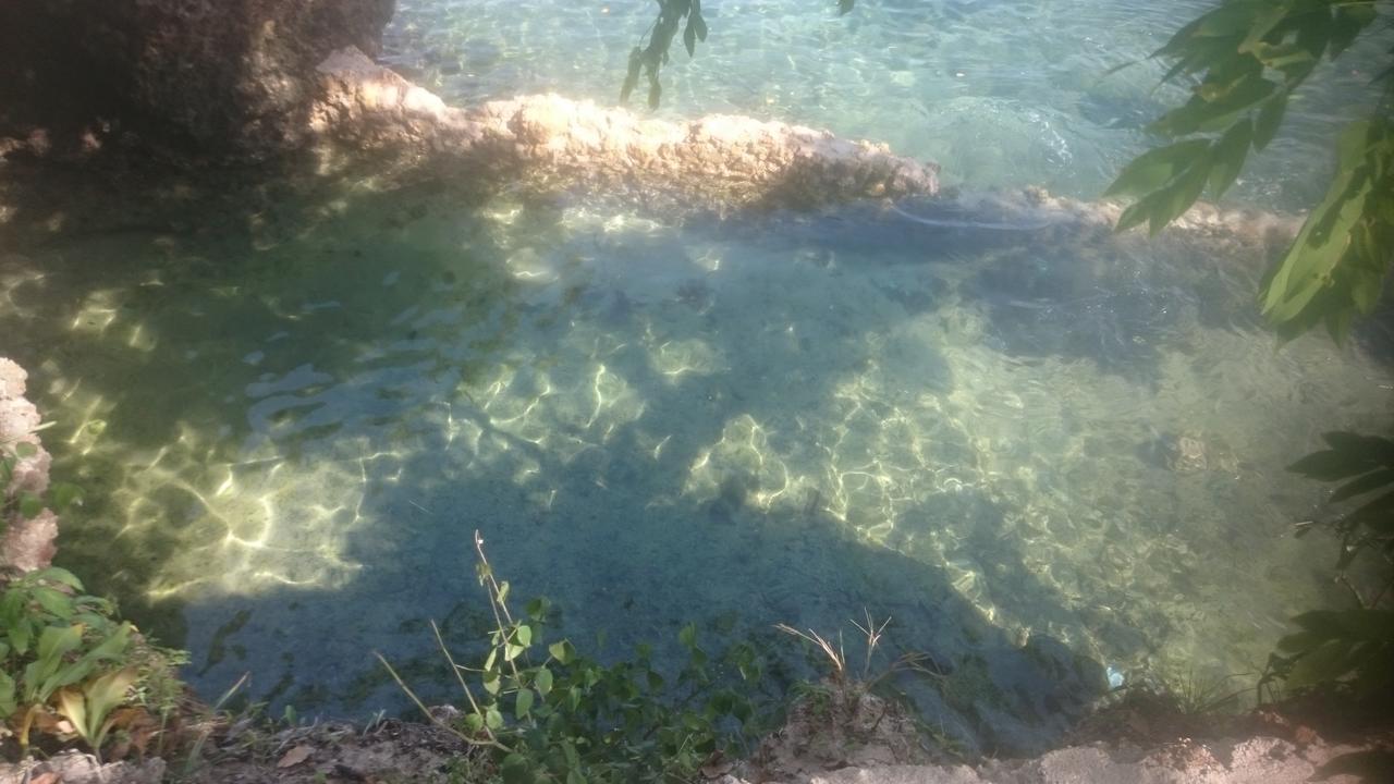 Wasini Island Bandas מראה חיצוני תמונה